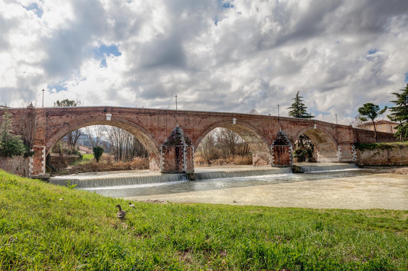 Esplorando il Fiume Savio: una guida alla natura selvaggia