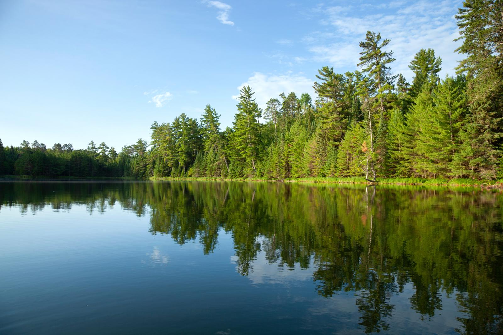Esplorando il Fiume Sile: la magia delle sue acque
