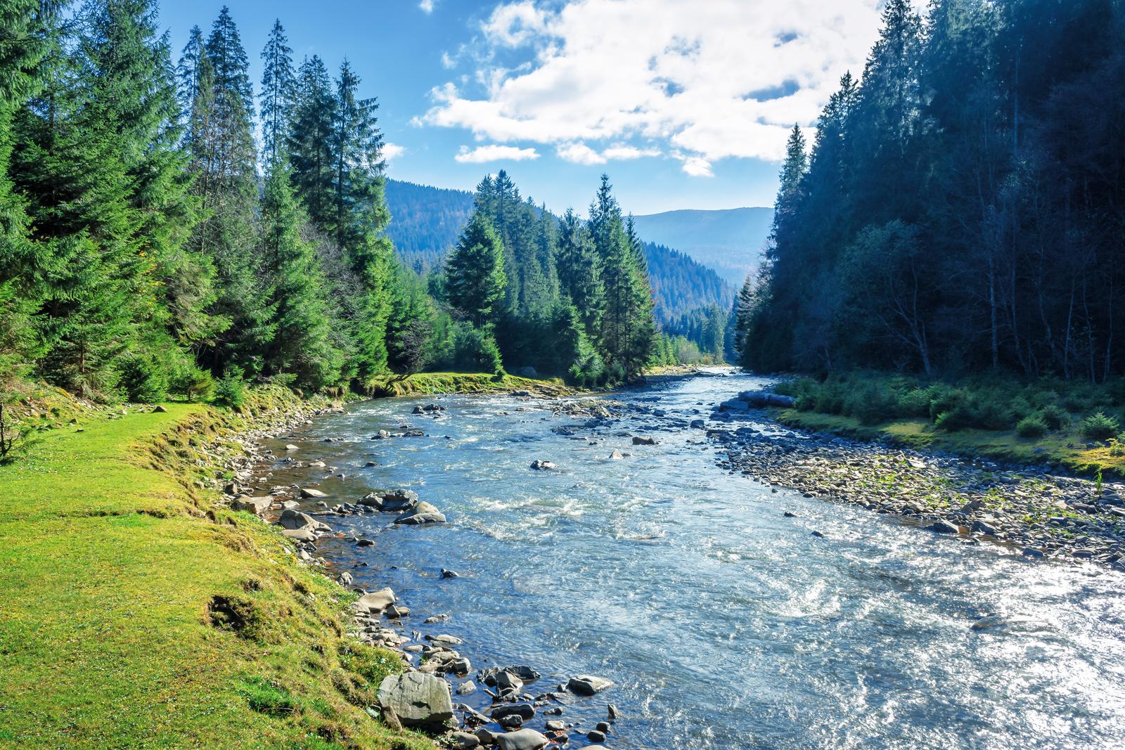 Esplorando il Fiume Toce: un viaggio tra natura e bellezza