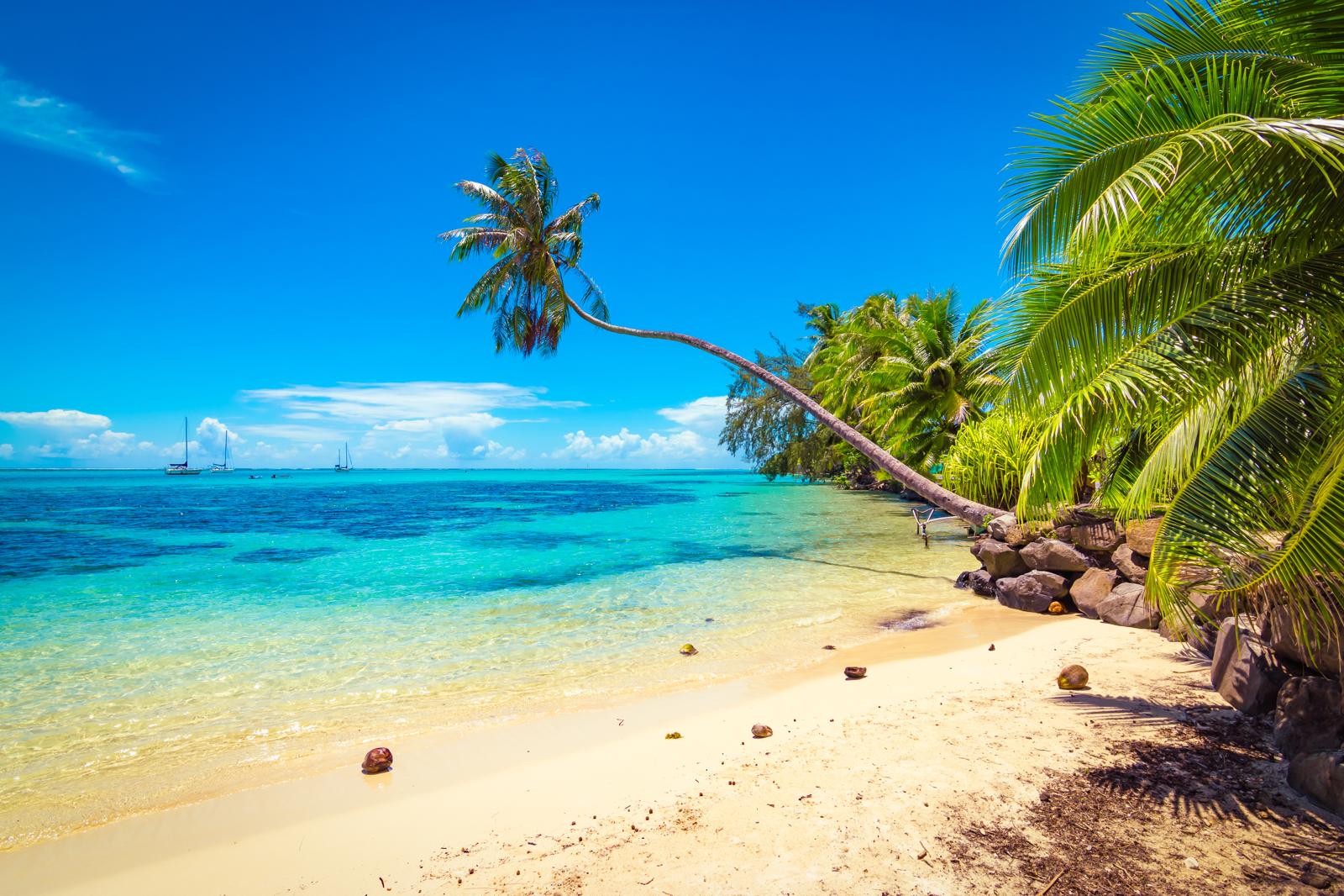 Isole Turks: un paradiso tropicale da scoprire
