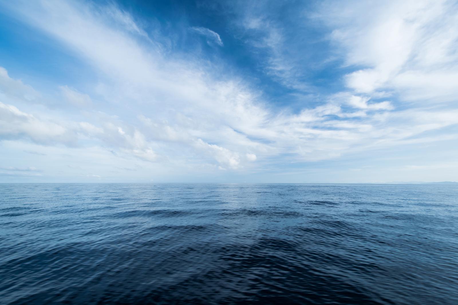 Misteri nel Mar dei Sargassi: un’avventura avvincente