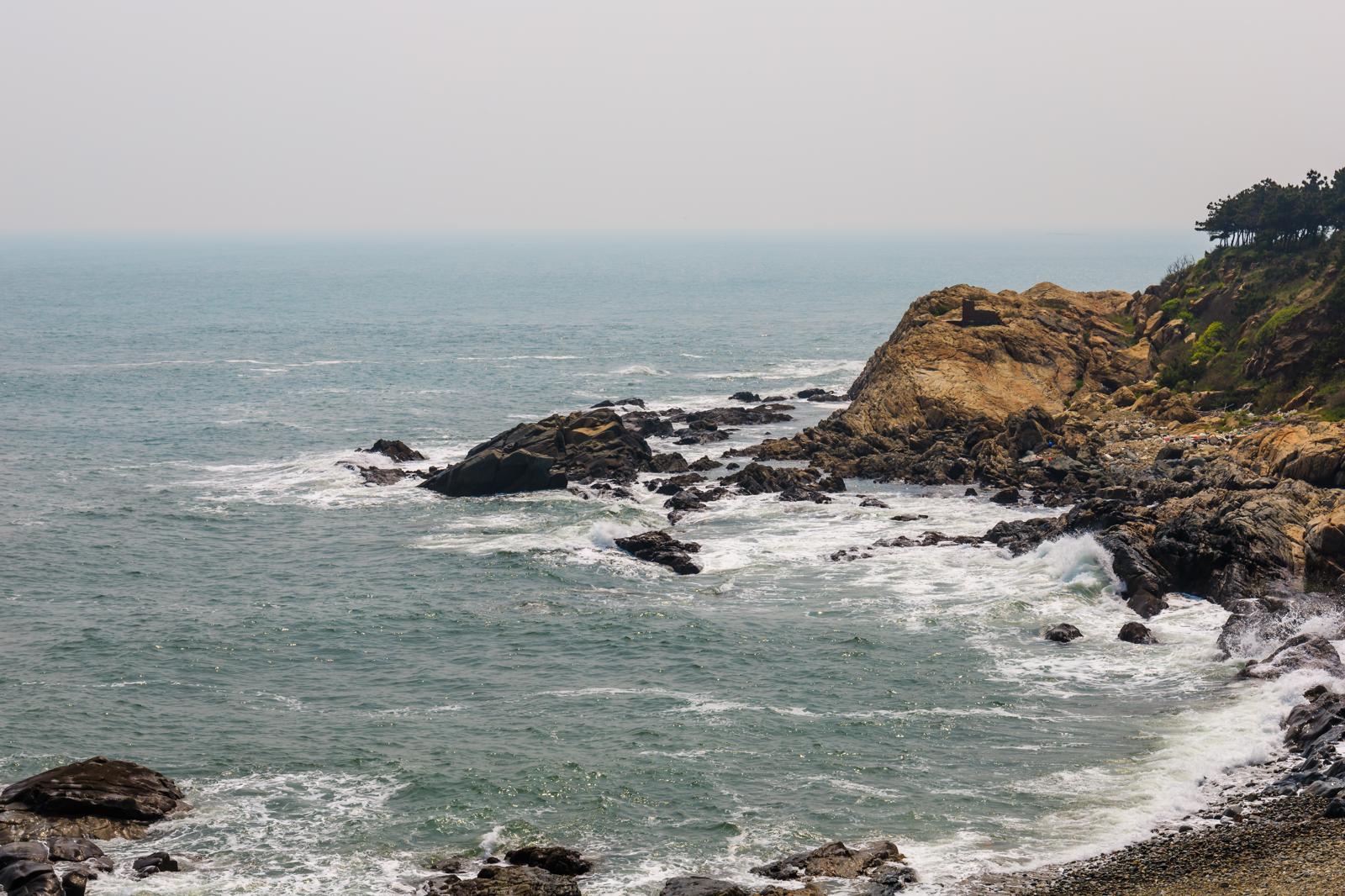 Chiave: Mare Giallo

Titolo: Mare Giallo: misteri e meraviglie delle acque dorate
